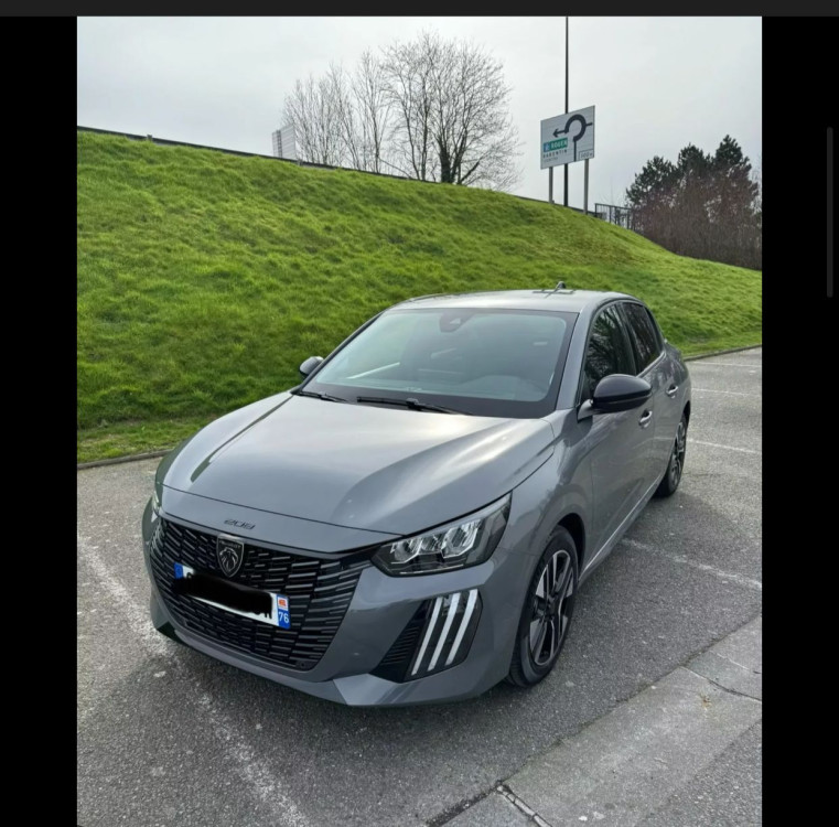 208 Gris Nardo Model 2024 Le Mois 10